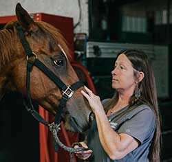 Shawnee Animal Hospital - Large Animal Wellness Exams