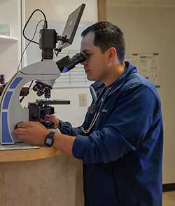 Shawnee Animal Hospital - In-House Laboratory