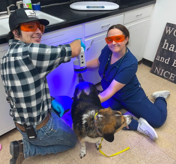 Laser Treatment Complementary Therapy