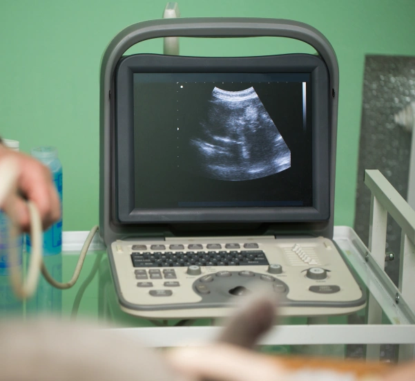 Benefits of Veterinary Ultrasound