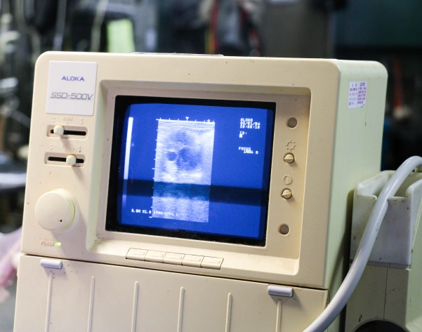 The Importance of Veterinary Diagnostic Testing