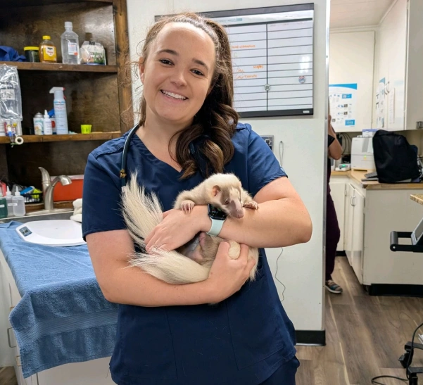 Exotic Pet Care