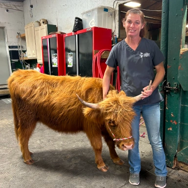 Large Animal Wellness Care Service
