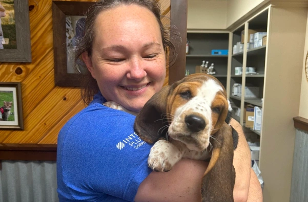 Veterinary Pain Management in Shawnee