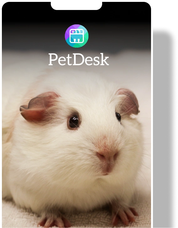 Guinea pig displayed in the PetDesk mobile app interface