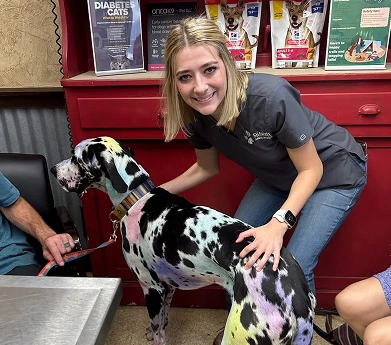Veterinary team member caring for a dog during a clinic visit