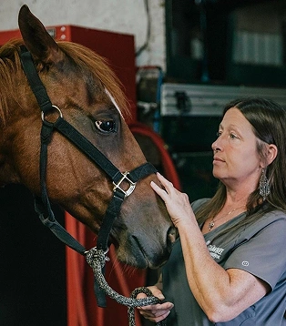 Veterinarian gently examining a brown horse's face while it wears a black halter, standing beside a large-animal veterinary vehicle.