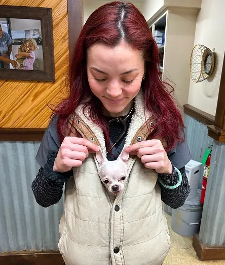 Veterinary team member holding a small dog during a clinic visit